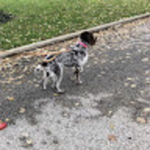 Meet your Posher, Mya